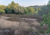 Terreny no urbanitzable en venda a la España, el Perelló, ref.: TR118446 foto