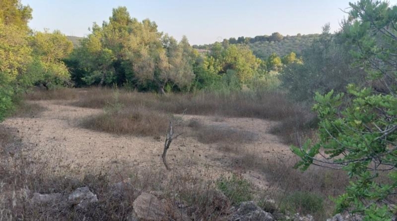 Tarragona - el Perelló - 26254m2