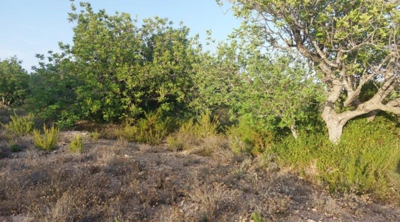 Tarragona - el Perelló - 26254m2