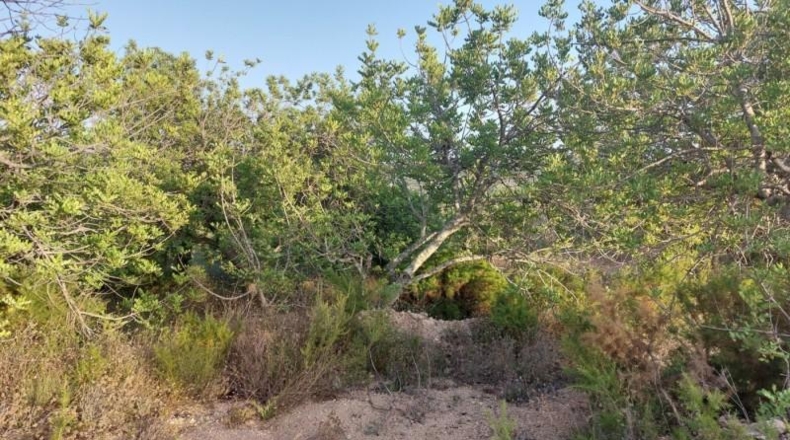 Tarragona - el Perelló - 26254m2