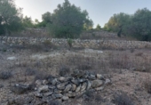 Terreny no urbanitzable en venda a la España, el Perelló, ref.: TR118446 foto