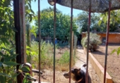 Non-developable land for sale on España, la Bisbal d'Empordà, ref: TR118903 photo