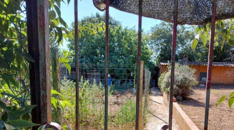 Gerona - la Bisbal d'Empordà - 250m2