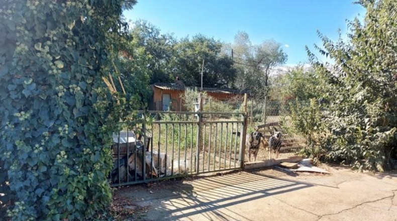 Gerona - la Bisbal d'Empordà - 250m2