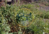 Urban land for sale on España, Bèlgida, ref: TR292797 photo