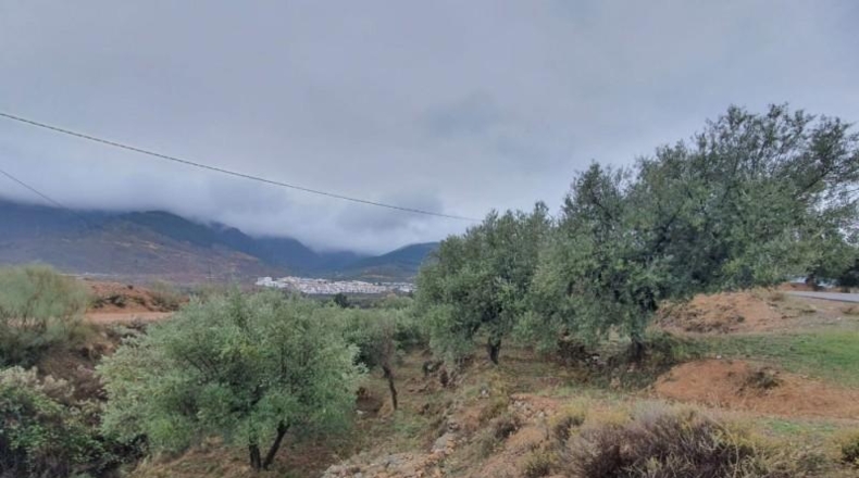 Almería - Fondón - 8122m2