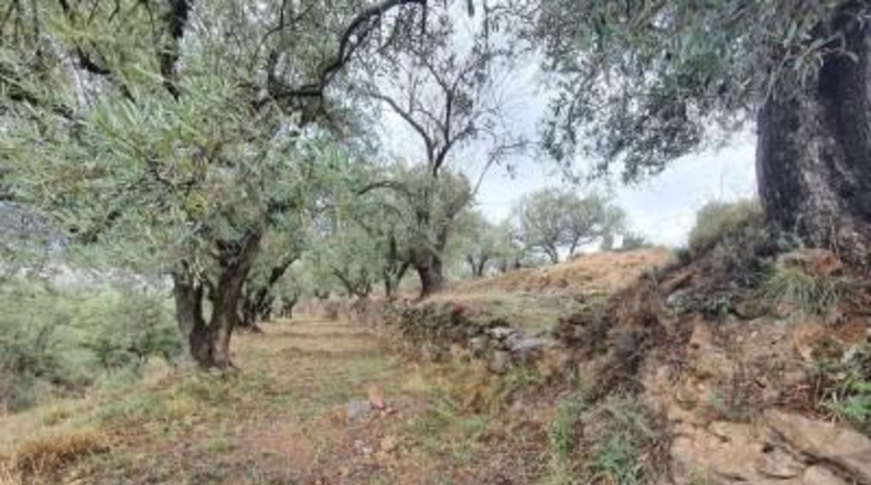 Almería - Fondón - 8122m2
