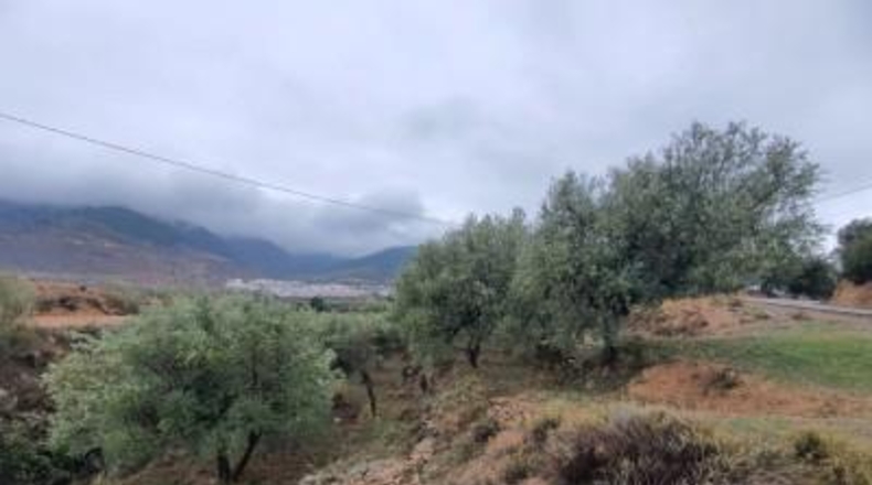Almería - Fondón - 8122m2