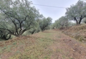 Xalet independent amb terreny en venda a la España, Fondón, ref.: TR302220 foto