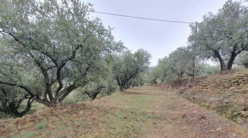 Almería - Fondón - 8122m2