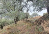 Xalet independent amb terreny en venda a la España, Fondón, ref.: TR302220 foto