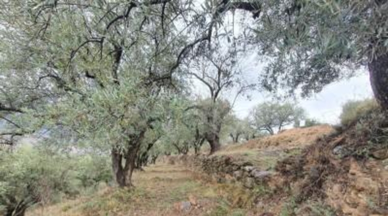 Almería - Fondón - 8122m2