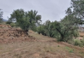 Xalet independent amb terreny en venda a la España, Fondón, ref.: TR302220 foto