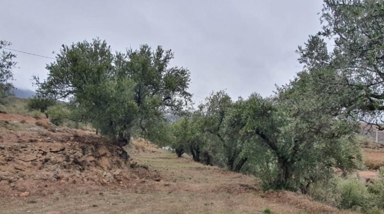 Almería - Fondón - 8122m2