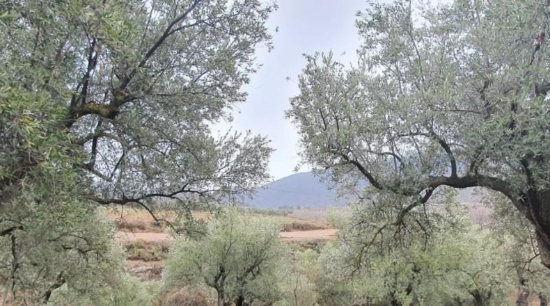 Almería - Fondón - 8122m2