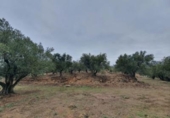 Xalet independent amb terreny en venda a la España, Fondón, ref.: TR302220 foto