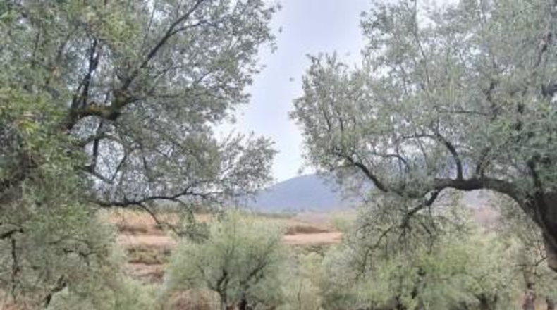 Almería - Fondón - 8122m2