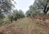 Xalet independent amb terreny en venda a la España, Fondón, ref.: TR302220 foto
