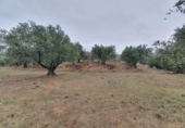 Xalet independent amb terreny en venda a la España, Fondón, ref.: TR302220 foto