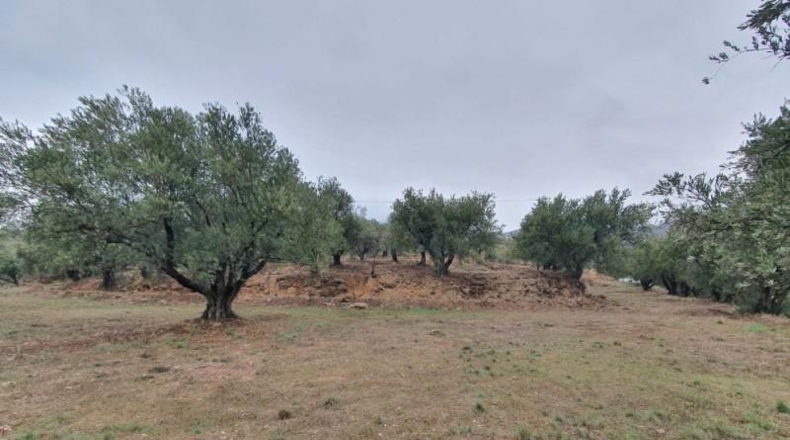Almería - Fondón - 8122m2