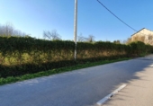Urban land for sale on España, Camponaraya, ref: TR121999 photo