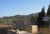 Terreny no urbanitzable en venda a la España, Monòver, ref.: TR122090 foto