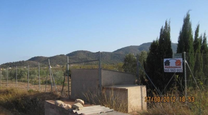 Alicante - Monóvar - 7500m2