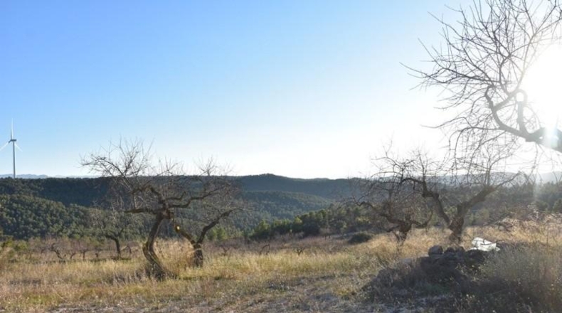 Málaga - Casares - 56942m2