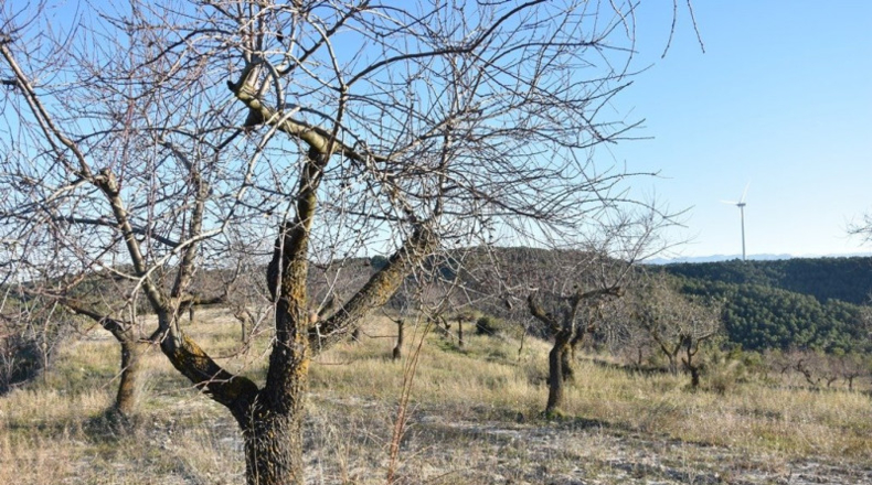 Málaga - Casares - 56942m2