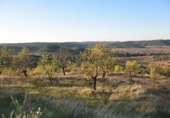 Xalet independent amb terreny en venda a la España, Caseres, ref.: TR300059 foto