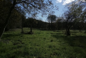 Castro de Rei 3178&nbsp;m²