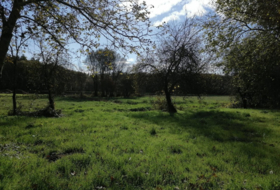 Castro de Rei 3178&nbsp;m²