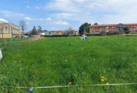 Foto 8