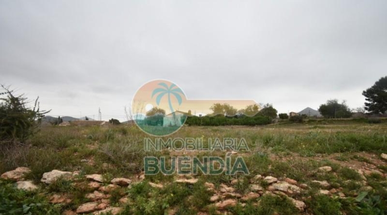 Múrcia - Cartagena - 2793m2