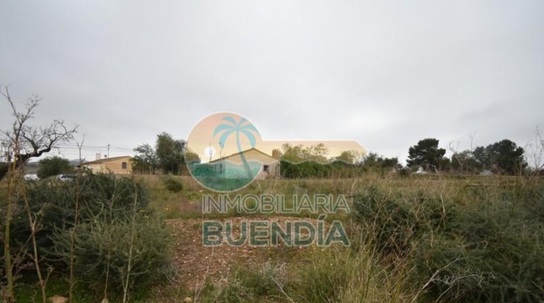 Múrcia - Cartagena - 2793m2