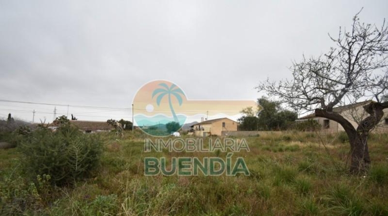 Múrcia - Cartagena - 2793m2