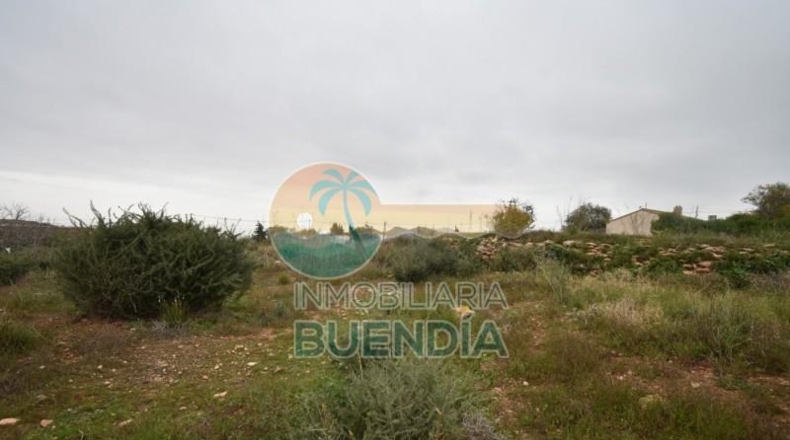 Múrcia - Cartagena - 2793m2
