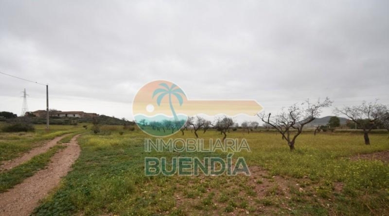 Múrcia - Cartagena - 2793m2
