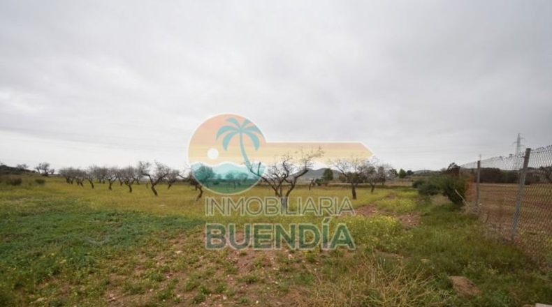 Múrcia - Cartagena - 2793m2
