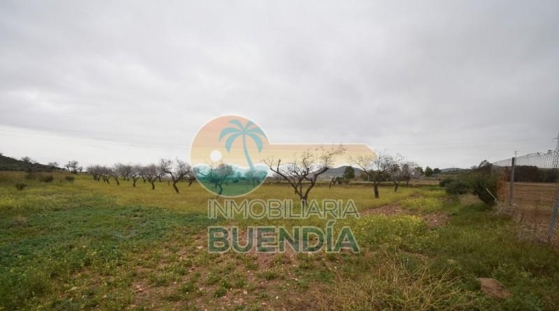 Múrcia - Cartagena - 2793m2