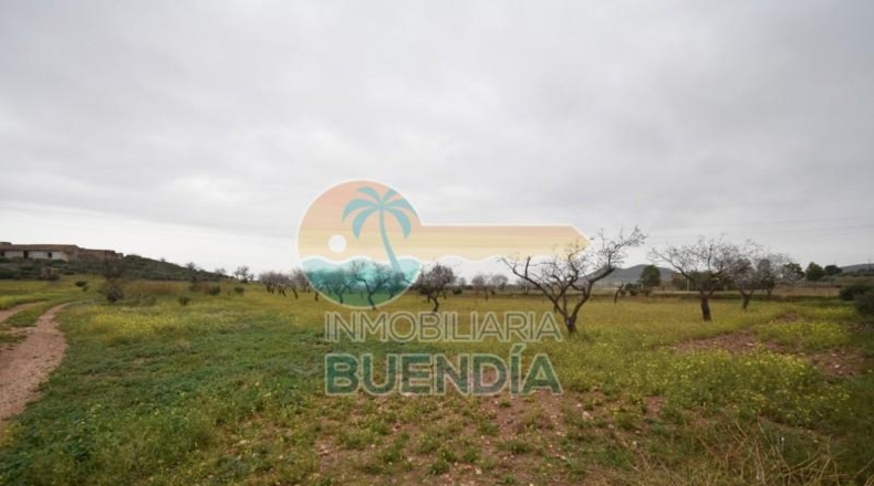 Múrcia - Cartagena - 2793m2