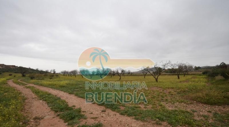 Múrcia - Cartagena - 2793m2