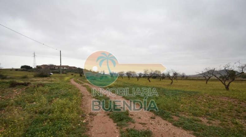 Múrcia - Cartagena - 2793m2
