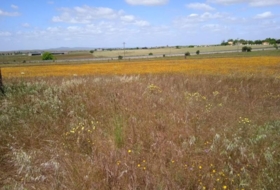 Cáceres 20000&nbsp;m²