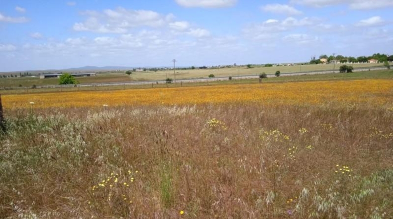 Cáceres - Càceres - 20000m2