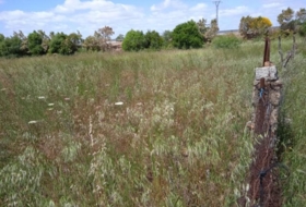Cáceres 20000&nbsp;m²