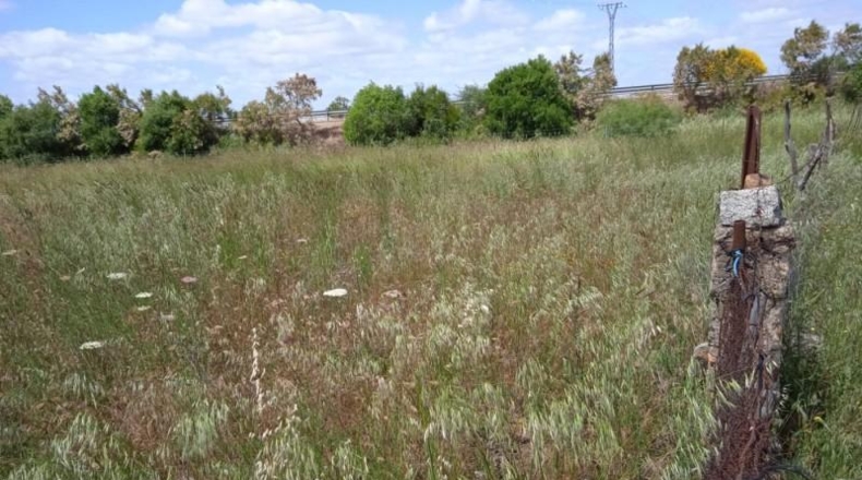 Cáceres - Càceres - 20000m2
