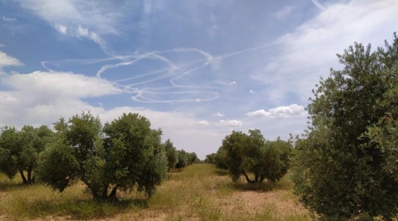 Ciudad Real - Tomelloso - 31413m2