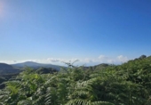 Sòl urbà en venda a la España, Santa María de Guía de Gran Canaria, ref.: TR308290 foto