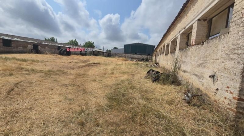Córdoba - Fuente Obejuna - 3540m2
